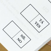 detail from photo of Referendum Ballot Paper, by Mark Stedman/Photocall Ireland, via thejournal.ie