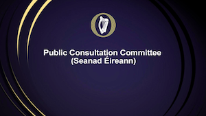 Public Consultation Committee Seanad Eireann