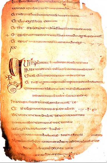 Cathach of St Colmba, at RIA; via widipedia